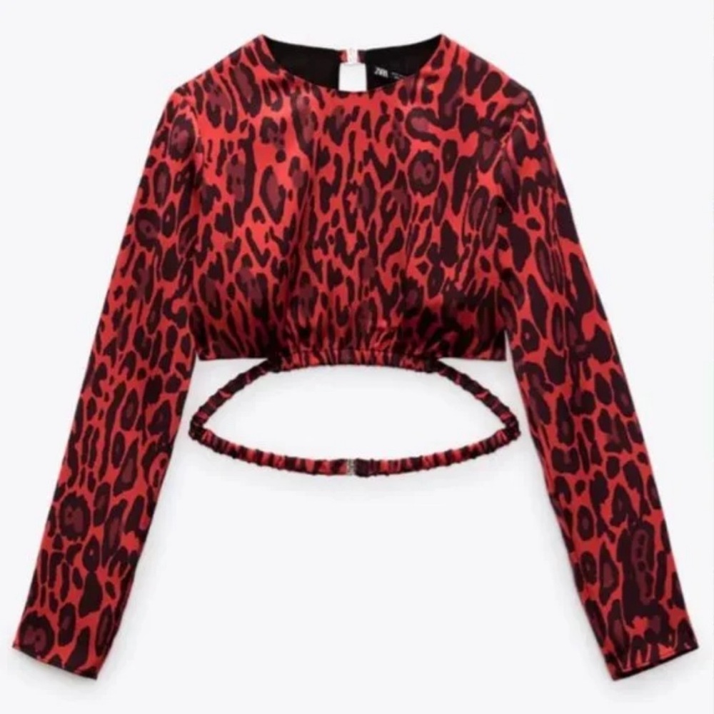 Zara Cropped Top